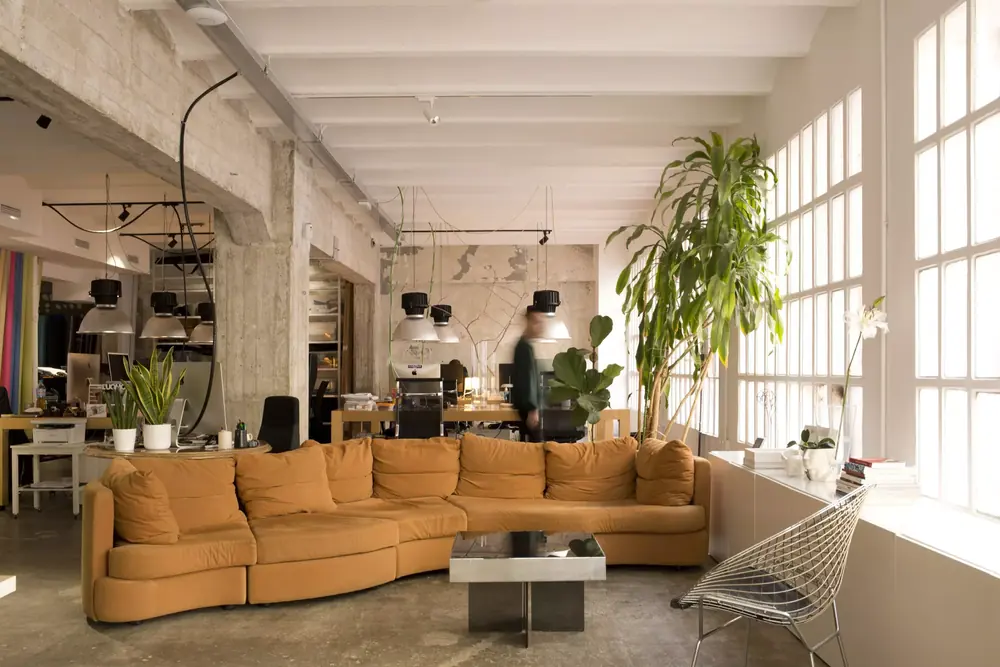 Zona de coworking de MyFuckingStudio en Barcelona con sofá, luz natural y plantas