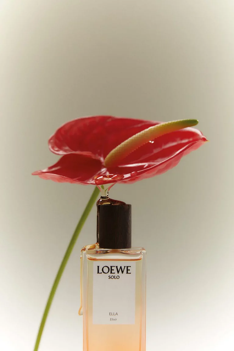 loewe_metalmagazine_19
